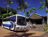 Rainforestation Nature Park - Accommodation in Surfers Paradise 5