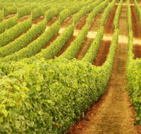 Wignalls Winery - Accommodation in Surfers Paradise