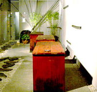 Koi - Accommodation in Surfers Paradise