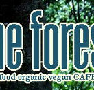 Forest Cafe  Bar - Accommodation in Surfers Paradise