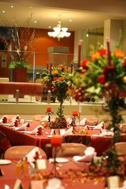  Accommodation in Surfers Paradise