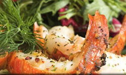 Fishermans Wharf Tavern - Accommodation in Surfers Paradise 1
