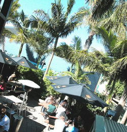 Duck & Swan Hotel - Accommodation in Surfers Paradise 3