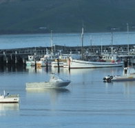 The Apollo Bay Hotel - Accommodation in Surfers Paradise