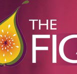 Wild Fig - Accommodation in Surfers Paradise