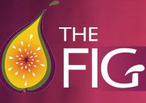 Wild Fig - Accommodation in Surfers Paradise 0