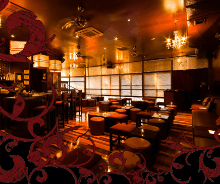 Hippo Lounge Bar - Accommodation in Surfers Paradise 0