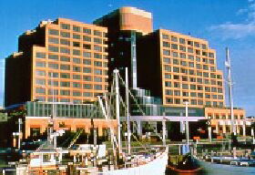 The Atrium Bar - Accommodation in Surfers Paradise 0