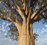 The Kimberley Grande - Accommodation in Surfers Paradise