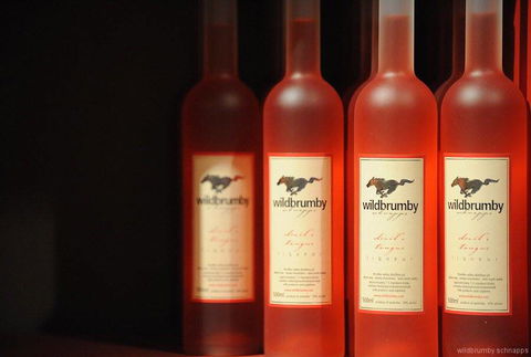 Fennell Bay Cellars - Accommodation in Surfers Paradise 0