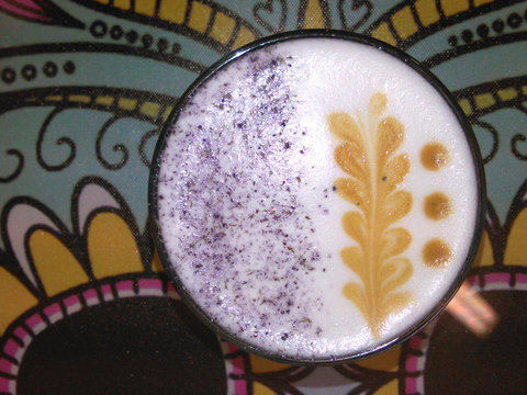 Yogolicious - Accommodation in Surfers Paradise 4