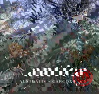 Antica Australis - Winter Fire Festival - Accommodation in Surfers Paradise