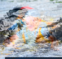 Cave Hill Creek Summer Camp - Accommodation in Surfers Paradise