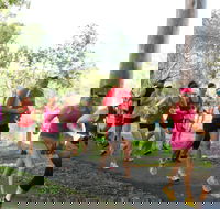 Gladstone Weekly Parkrun - Accommodation in Surfers Paradise