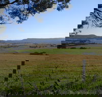 Milton Village Showground Markets - Accommodation in Surfers Paradise