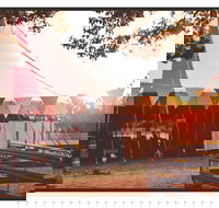 Mullum Circus Festival - Accommodation in Surfers Paradise