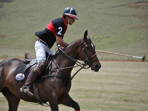 Wirragulla Annual Polo Tournament - Accommodation in Surfers Paradise 0