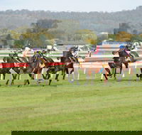 Aggies Race Day - Accommodation in Surfers Paradise