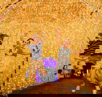 Christmas Lights Spectacular New Year's Eve at Hunter Valley Gardens - Accommodation in Surfers Paradise