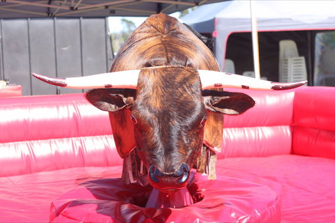 Gundaroo Music Festival - Accommodation in Surfers Paradise 2