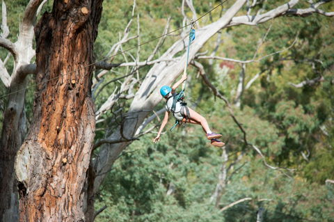 July 2020 Holidays- Go Wild At The Mt Lofty Adventure Hub - Accommodation in Surfers Paradise 1