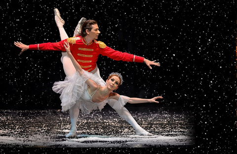 The Nutcracker And Don Quixote - Accommodation in Surfers Paradise 0