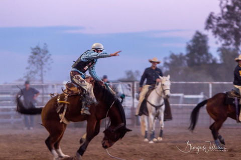 Walgett Charity Bushman's Carnival Rodeo And Campdraft - Accommodation in Surfers Paradise 1