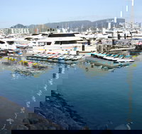 Airlie Beach parkrun - Accommodation in Surfers Paradise