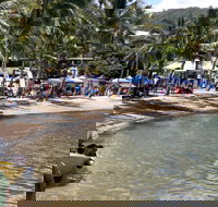 Lions Airlie Beach Community Markets - Accommodation in Surfers Paradise