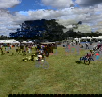 Majors Creek Festival - Accommodation in Surfers Paradise