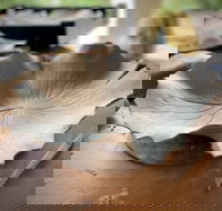 Online live streaming class DIY Clay Hand Building for Beginners - Accommodation in Surfers Paradise