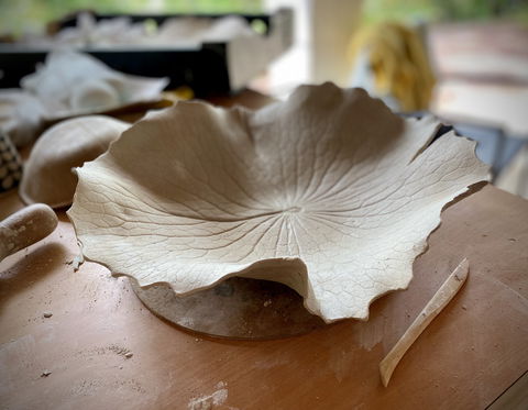 Online Live Streaming Class: DIY Clay Hand Building For Beginners - Accommodation in Surfers Paradise 0