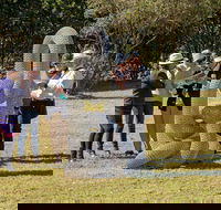 Sculpture for Clyde - Outdoor Exhibition - Accommodation in Surfers Paradise
