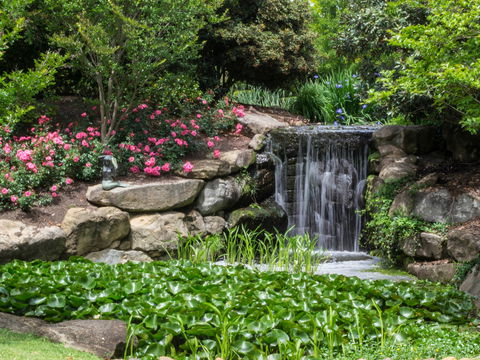 Spring Time At Hunter Valley Gardens - Accommodation in Surfers Paradise 1