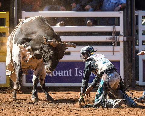 The 2020 Virtual Mount Isa Mines Rodeo - Accommodation in Surfers Paradise 2