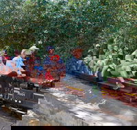 Twilight Run   Willans Hill Miniature Railway - Accommodation in Surfers Paradise