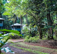 Ferntree Rainforest Lodge - Accommodation in Surfers Paradise