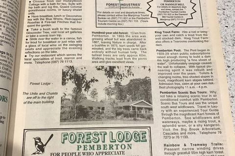 Forest Lodge Resort - Accommodation in Surfers Paradise 3