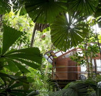 Daintree Wilderness Lodge - Accommodation in Surfers Paradise