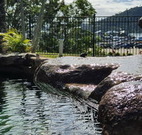 Colonial Palms Motor Inn - Accommodation in Surfers Paradise