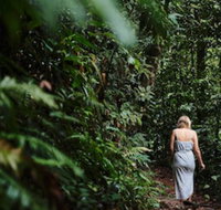 Daintree Ecolodge - Accommodation in Surfers Paradise