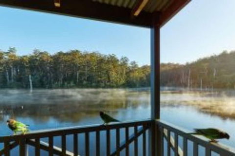 RAC Karri Valley Resort - Accommodation in Surfers Paradise 5
