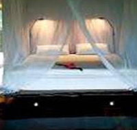 Cockatoo Hill Retreat - Accommodation in Surfers Paradise