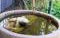 Hope Cottage Country Retreat - thumb 4