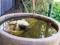 Hope Cottage Country Retreat - Accommodation in Surfers Paradise 4