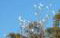 Hope Cottage Country Retreat - thumb 1