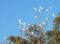 Hope Cottage Country Retreat - Accommodation in Surfers Paradise 1
