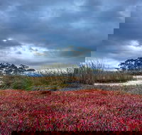 Saintys Creek Cottage