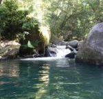 Daintree Secrets Rainforest Sanctuary - Accommodation in Surfers Paradise