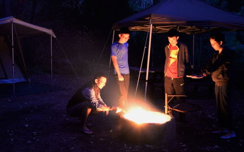 WA Wilderness - Accommodation in Surfers Paradise 2